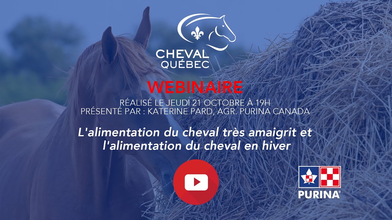 Nutrition équine : L'alimentation du cheval très amaigri et l'alimentation du cheval en hiver